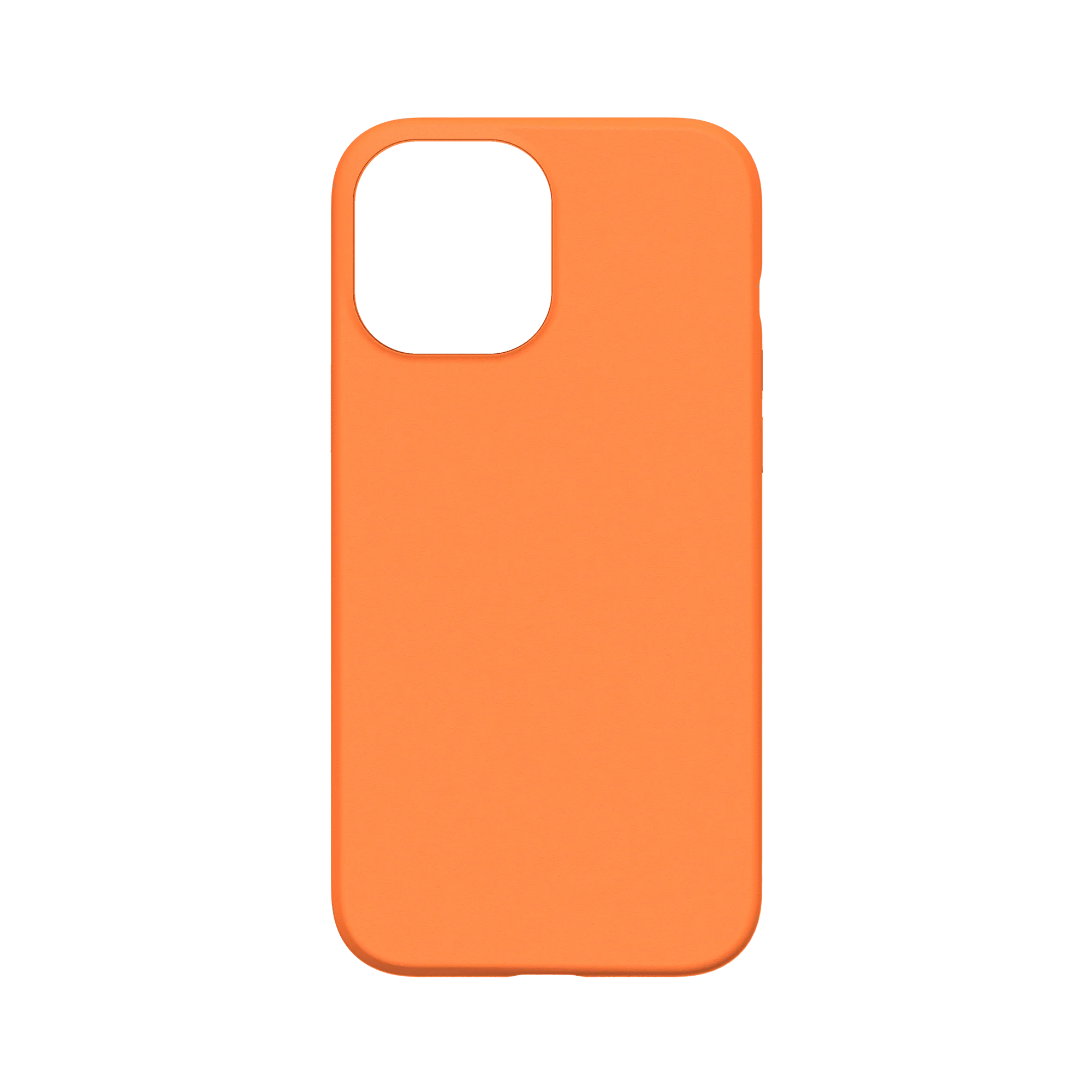 Miniatura 13