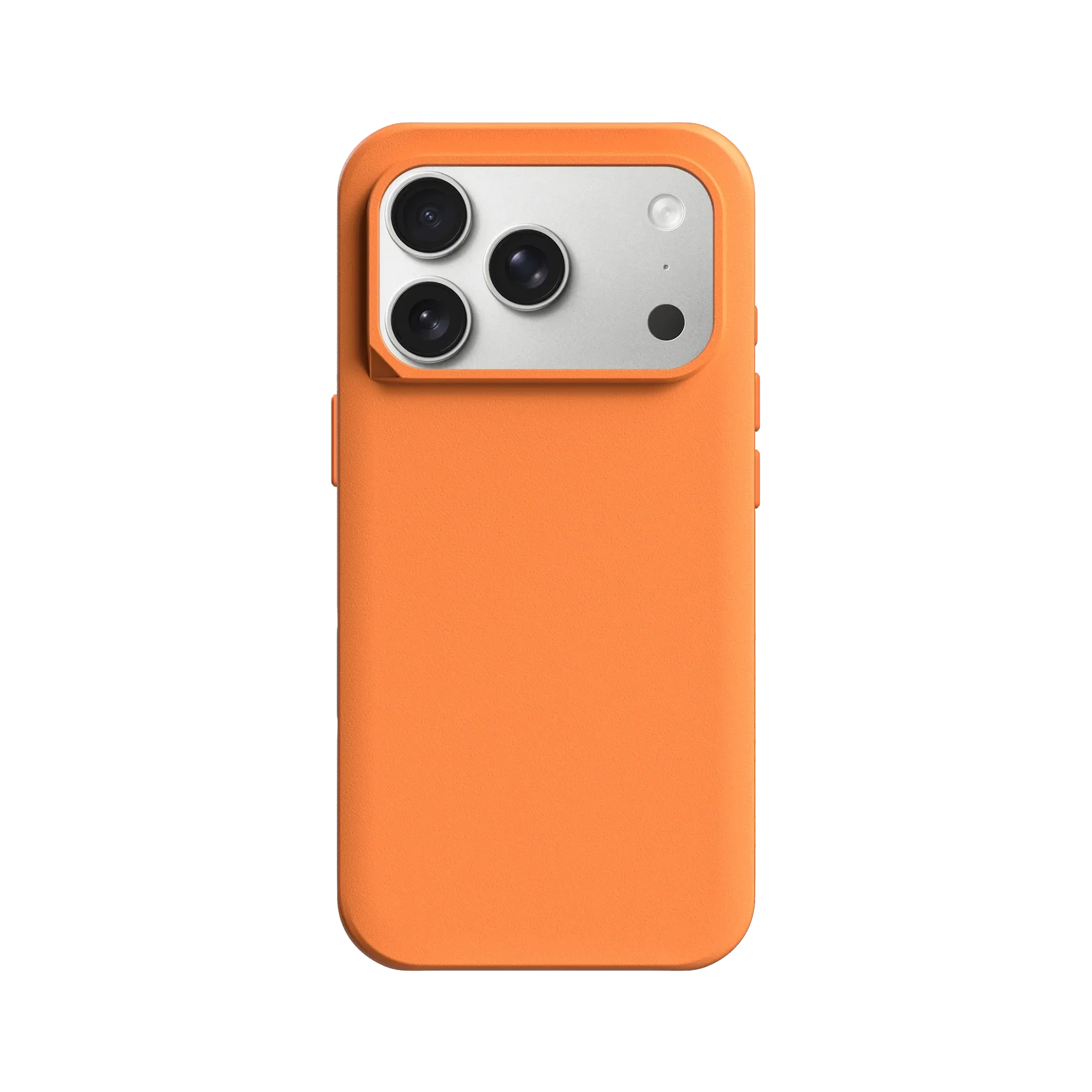 Miniatura 19